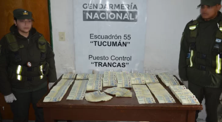 Viajaba en colectivo de larga distancia con más de 159 millones de pesos sin aval legal Viajaba en colectivo de larga distancia con más de 159 millones de pesos sin aval legal