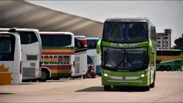 El Gobierno quitó subsidios a empresas de micros por pasajes gratuitos para personas con discapacidad El Gobierno quitó subsidios a empresas de micros por pasajes gratuitos para personas con discapacidad