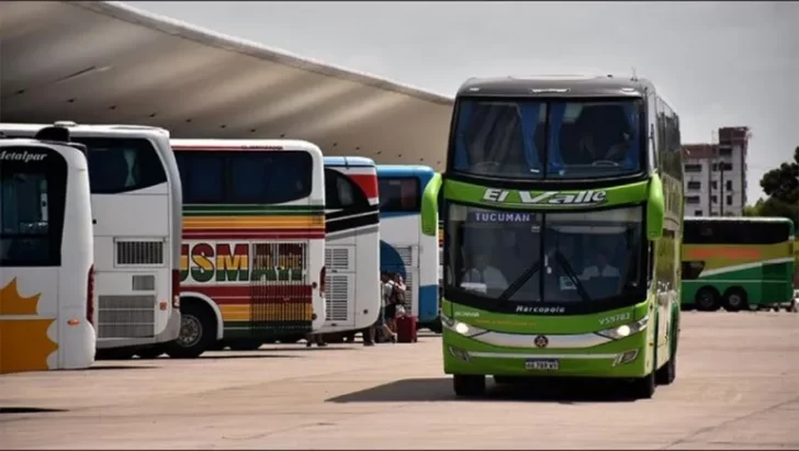 El Gobierno quitó subsidios a empresas de micros por pasajes gratuitos para personas con discapacidad El Gobierno quitó subsidios a empresas de micros por pasajes gratuitos para personas con discapacidad