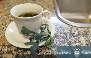 El té de ruda no está recomendado para niños, embarazadas ni adultos mayores El té de ruda no está recomendado para niños, embarazadas ni adultos mayores