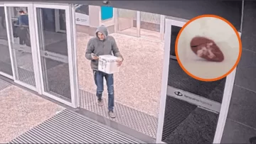 Dejó una conservadora con un riñón en Aeroparque y terminó detenido y procesado Dejó una conservadora con un riñón en Aeroparque y terminó detenido y procesado
