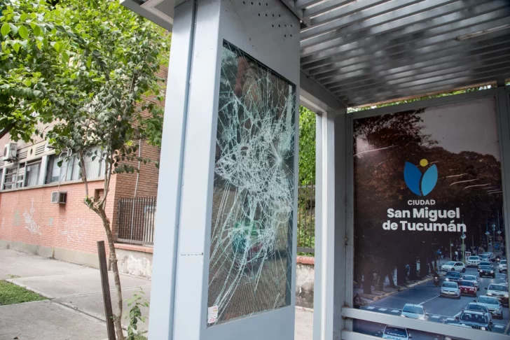 Avanza la identificación de los responsables de vandalizar 58 paradas de colectivos en la Capital tucumana Avanza la identificación de los responsables de vandalizar 58 paradas de colectivos en la Capital tucumana