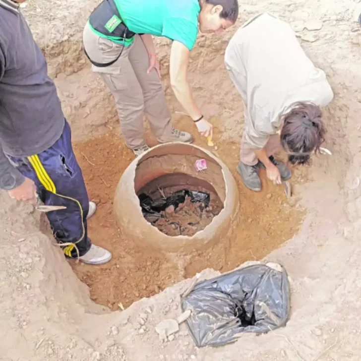 Importante hallazgo arqueológico en Choromoro Importante hallazgo arqueológico en Choromoro