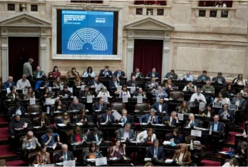 Diputados: el oficialismo logró aprobar la Ley de Discapacidad Diputados: el oficialismo logró aprobar la Ley de Discapacidad