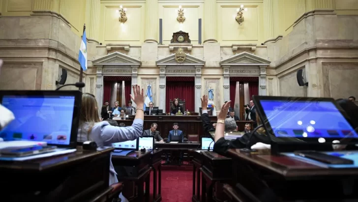 El Senado aprobó la reforma de Salud Mental: qué concesiones aceptó el Gobierno para lograr la media sanción El Senado aprobó la reforma de Salud Mental: qué concesiones aceptó el Gobierno para lograr la media sanción