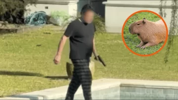 Filmaron a un hombre disparando contra carpinchos y la Justicia investiga Filmaron a un hombre disparando contra carpinchos y la Justicia investiga