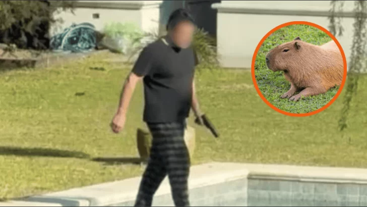 Filmaron a un hombre disparando contra carpinchos y la Justicia investiga Filmaron a un hombre disparando contra carpinchos y la Justicia investiga