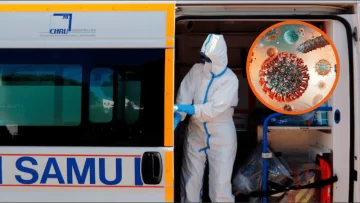 Murió un hombre en Francia por un virus que nunca se había detectado en humanos: qué es el Shamonda y cómo se contrae Murió un hombre en Francia por un virus que nunca se había detectado en humanos: qué es el Shamonda y cómo se contrae