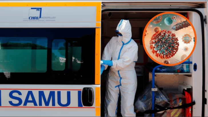 Murió un hombre en Francia por un virus que nunca se había detectado en humanos: qué es el Shamonda y cómo se contrae Murió un hombre en Francia por un virus que nunca se había detectado en humanos: qué es el Shamonda y cómo se contrae